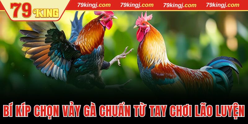 Bí kíp chọn vảy gà