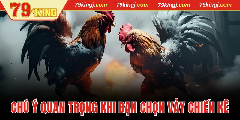 Chú ý quan trọng khi bạn chọn vảy chiến kê