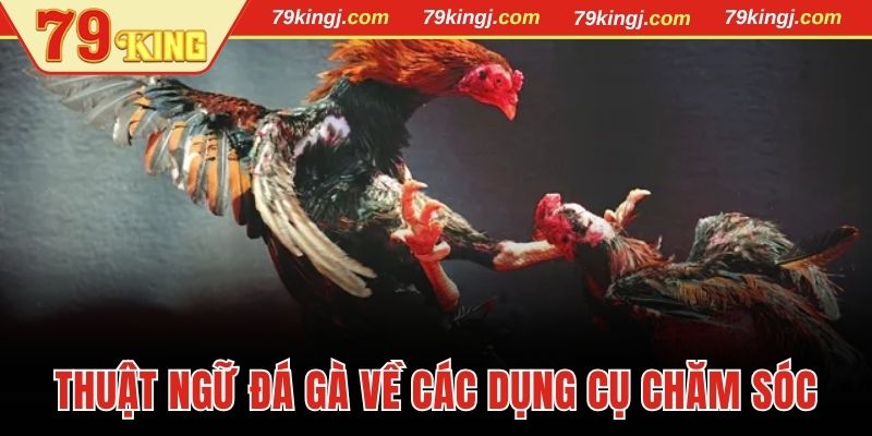 Thuật ngữ đá gà về các dụng cụ chăm sóc