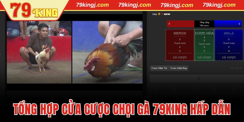 Tổng hợp cửa cược chọi gà 79King hấp dẫn