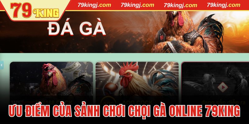 Ưu điểm của sảnh chơi chọi gà online 79King