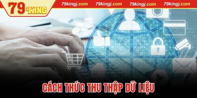 Cách thức thu thập dữ liệu
