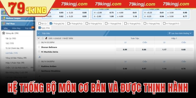 Hệ thống bộ môn cơ bản và được thịnh hành