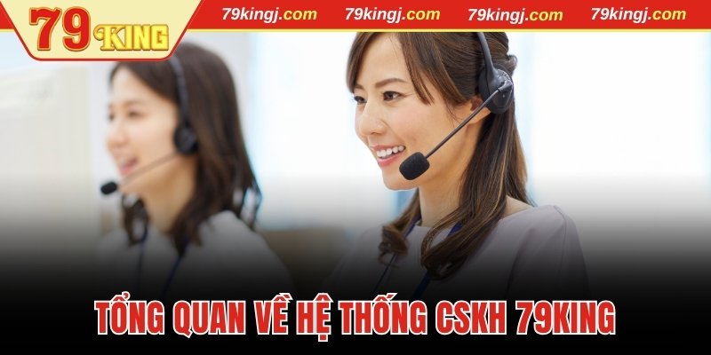 Tổng quan về hệ thống CSKH 79King
